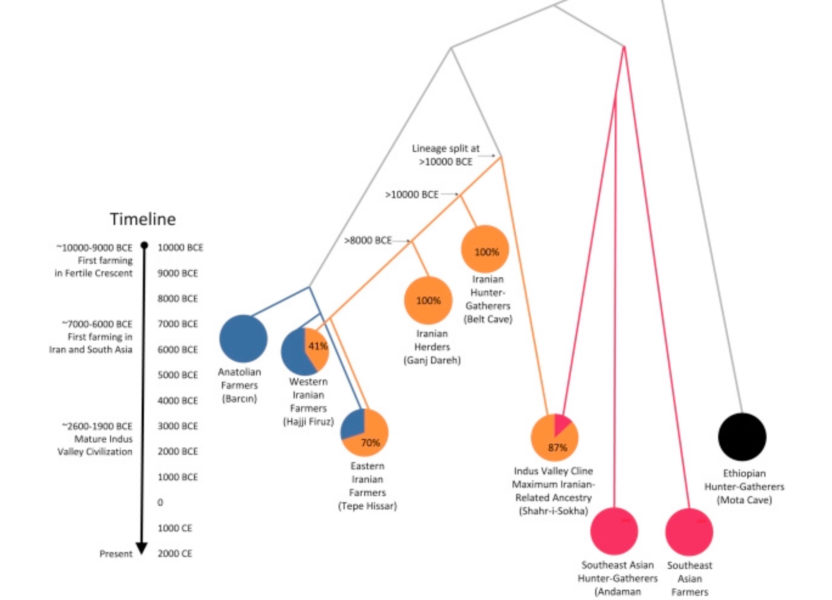 An Ancient Harappan Genome Lacks Ancestry from Steppe Pastoralists or Iranian Farmers – A critique