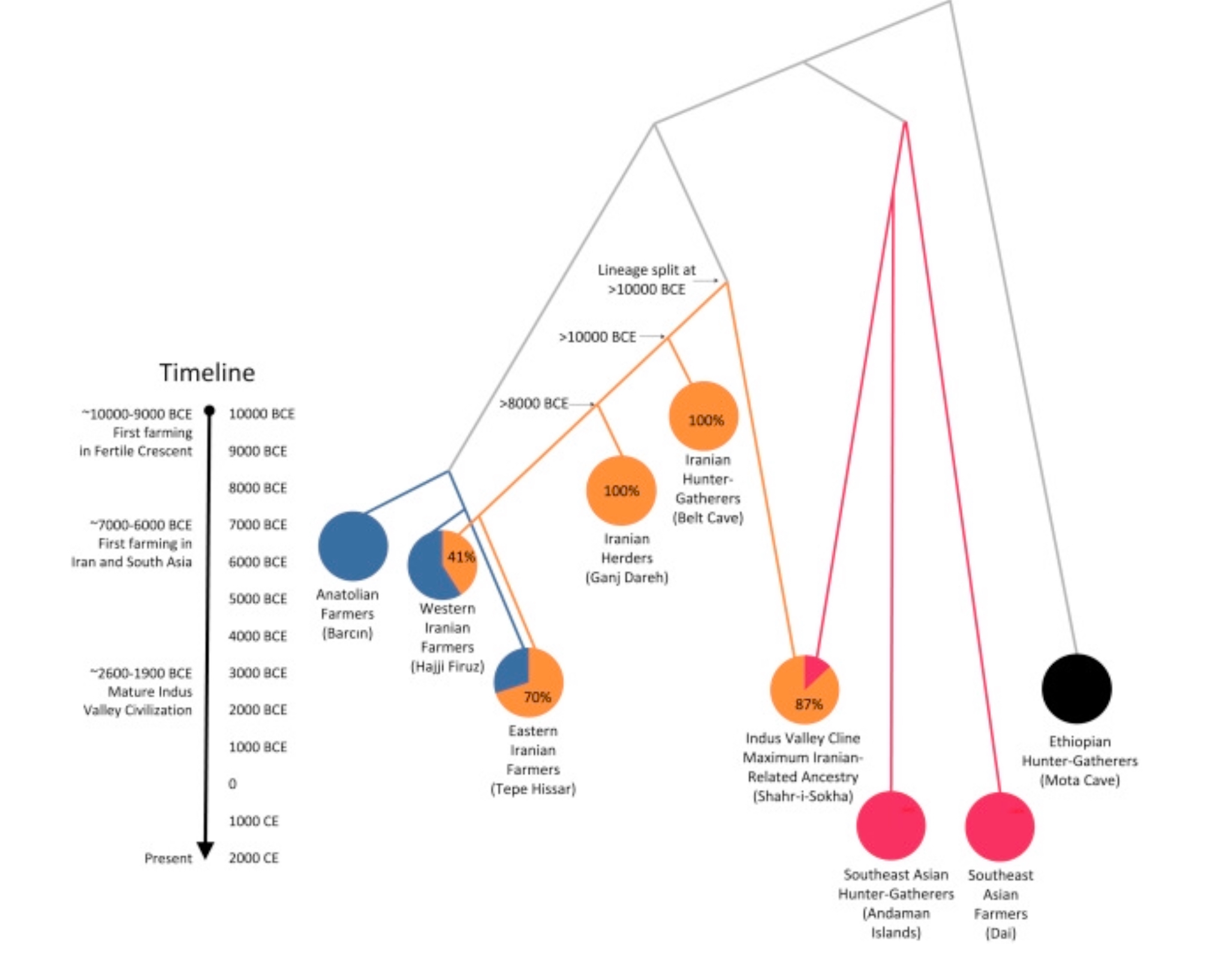 Genotyping – Eurasian Genetics